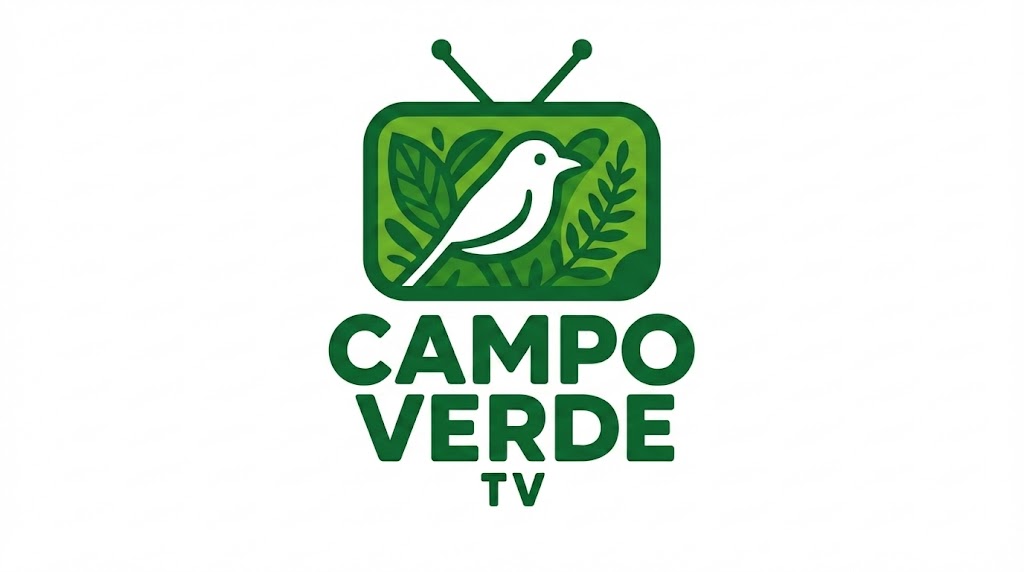 Campo Verde TV